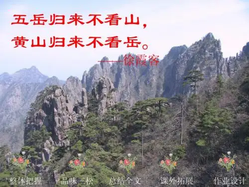 16、黄山奇松