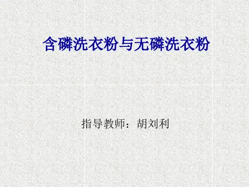 含磷洗衣粉与无磷洗衣粉精品PPT课件