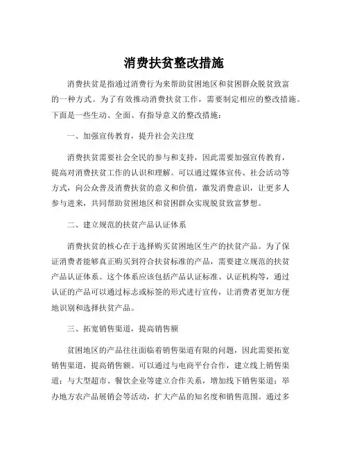 消费扶贫整改措施