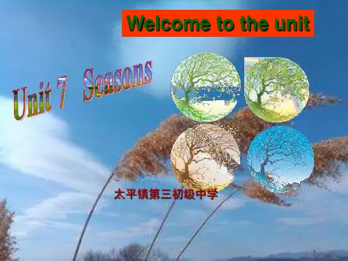 译林牛津版 8A Unit 7 welcome to the unit 教学课件 (共29张PPT)