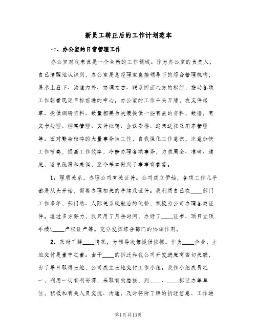 新员工转正后的工作计划范本(5篇)