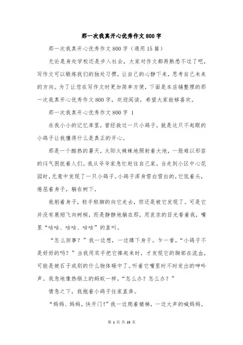 那一次我真开心优秀作文800字