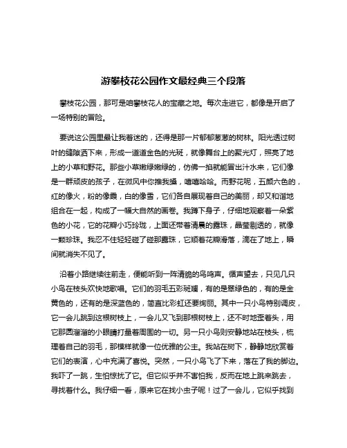 游攀枝花公园作文最经典三个段落