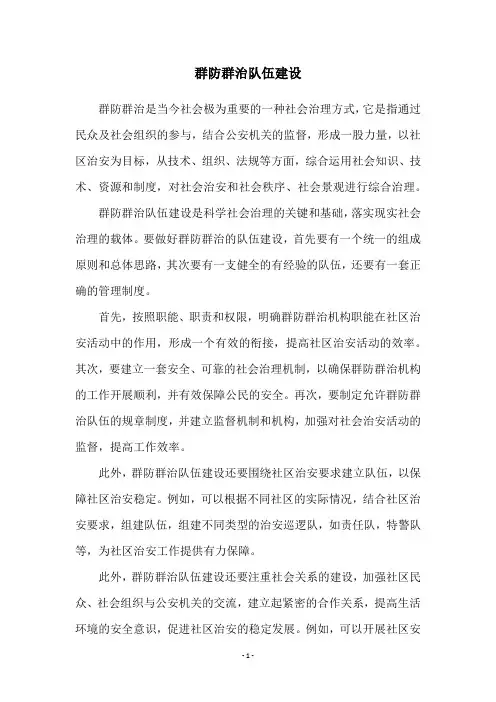 群防群治队伍建设