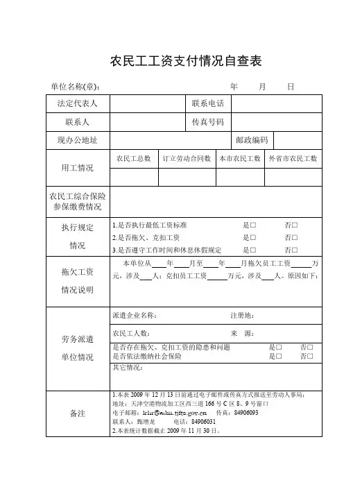 农民工工资支付情况自查表(精)