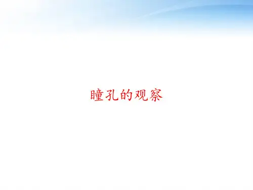 瞳孔的观察 ppt课件