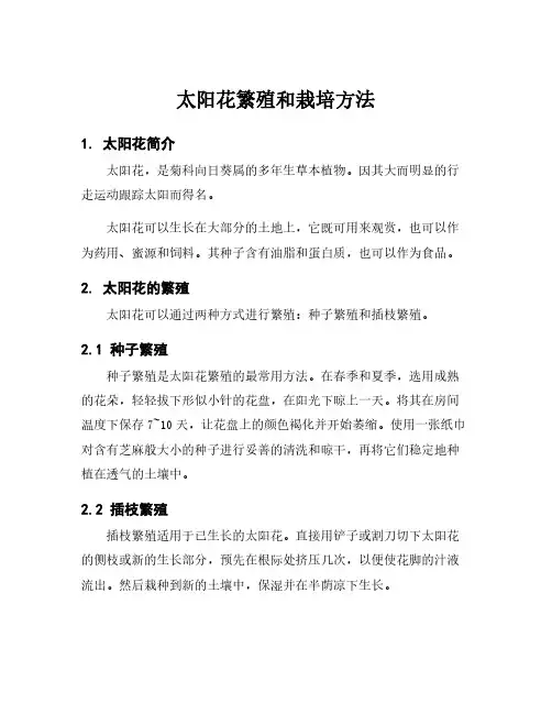 太阳花繁殖和栽培方法