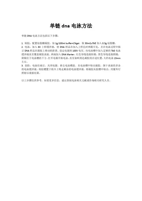 单链dna电泳方法