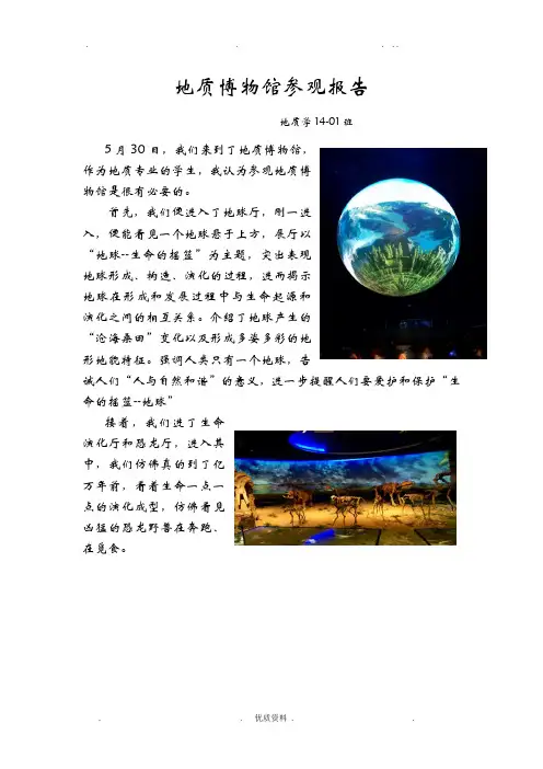地质博物馆参观报告