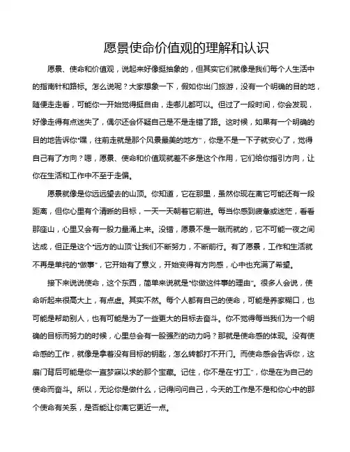 愿景使命价值观的理解和认识
