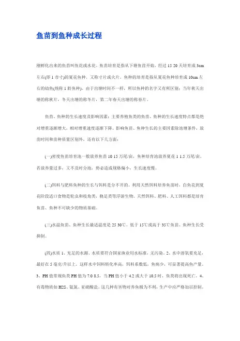 鱼苗到鱼种成长过程