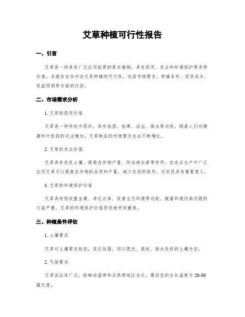 艾草种植可行性报告