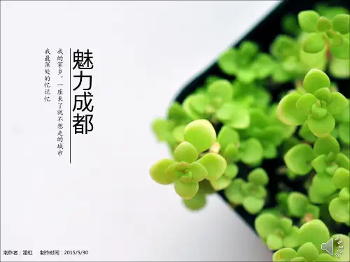 成都简介 (2)全文