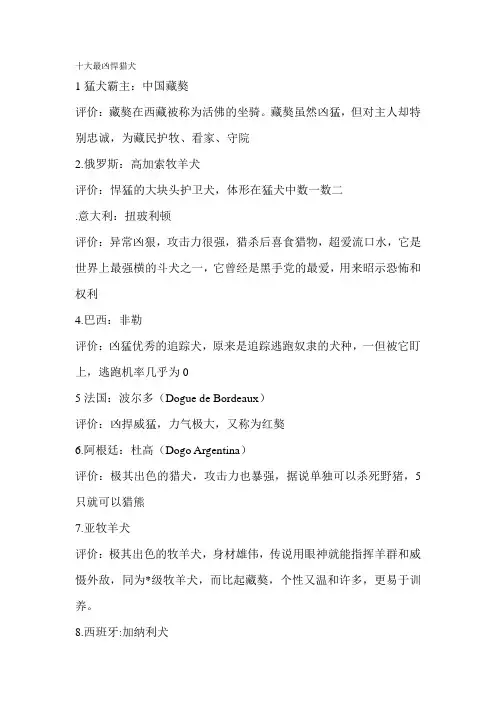 十大最凶悍猎犬