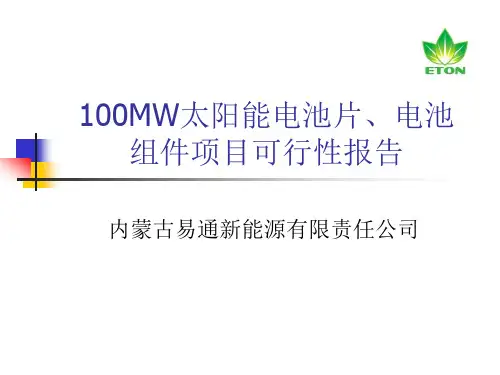 100MW太阳能电池片项目可行性报告