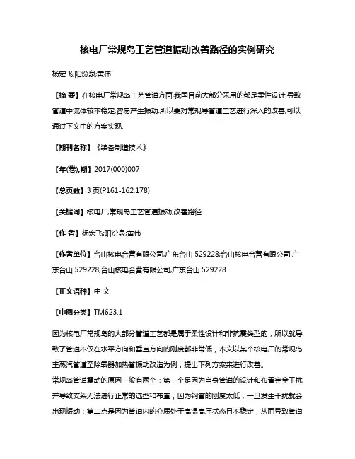 核电厂常规岛工艺管道振动改善路径的实例研究