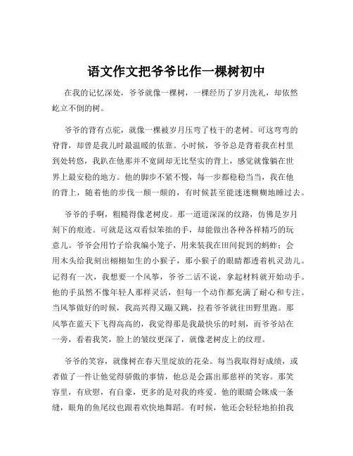 语文作文把爷爷比作一棵树初中