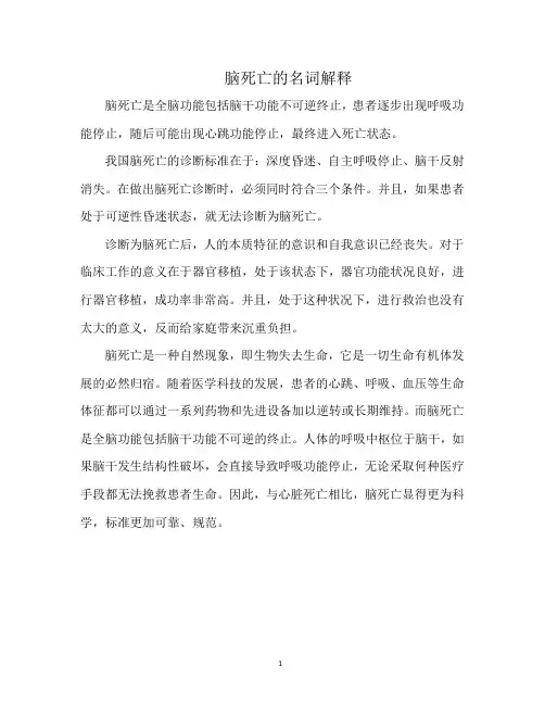 脑死亡的名词解释