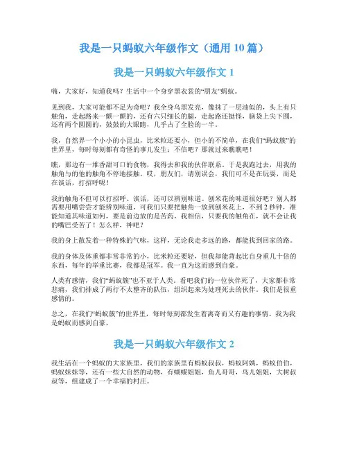 我是一只蚂蚁六年级作文(通用10篇)