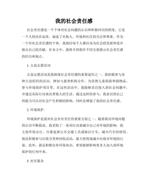 我的社会责任感