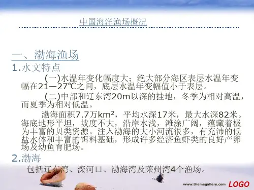 中国海洋渔场概况