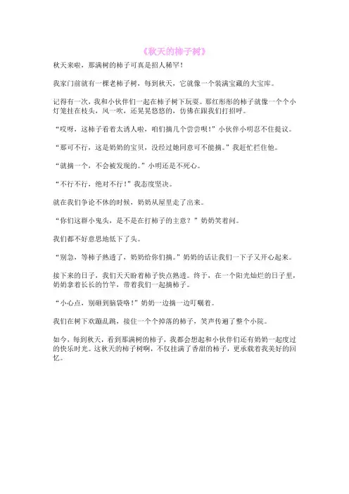 《秋天的柿子树》