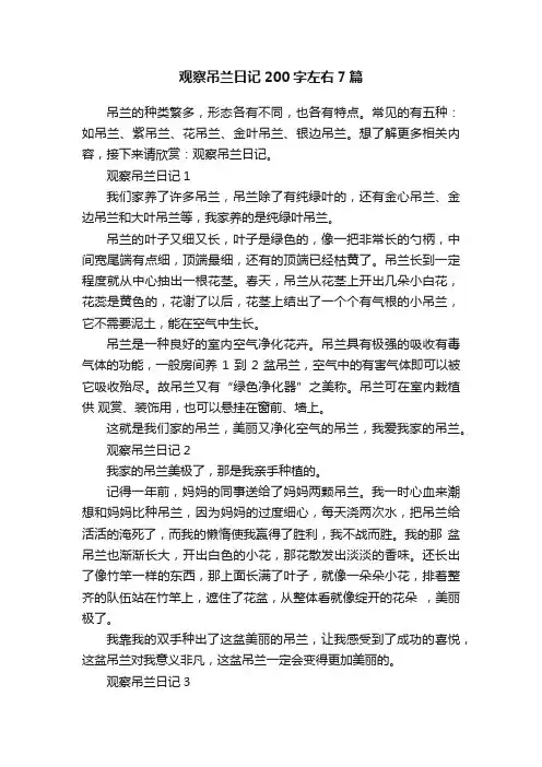 观察吊兰日记200字左右7篇