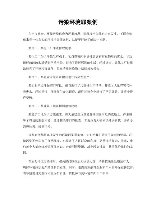 污染环境罪案例
