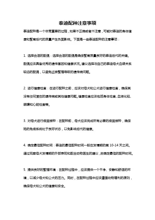 泰迪配种注意事项
