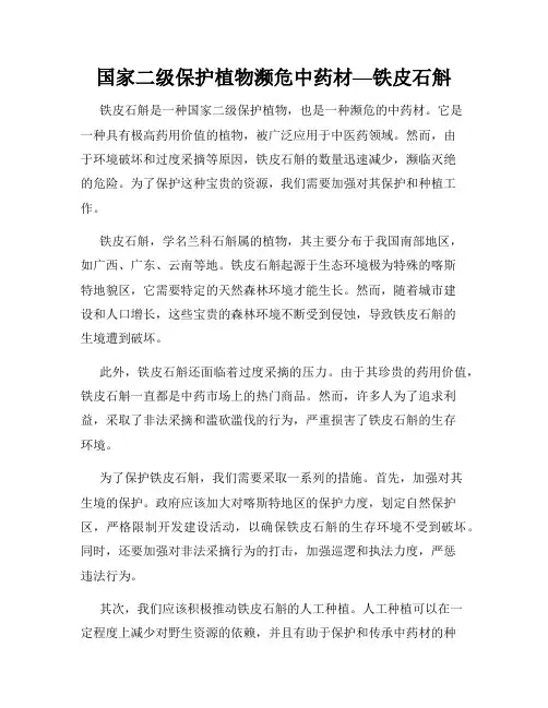 国家二级保护植物濒危中药材––铁皮石斛