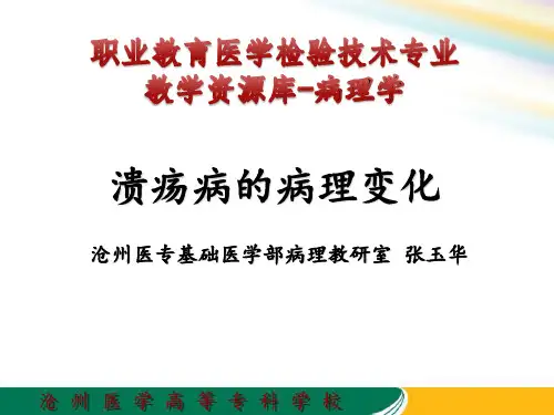7.3 溃疡病的病理变化.
