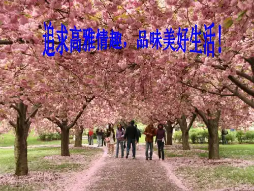 思想品德：6.14.1《生活处处有情趣》课件(鲁教版七年级下册)