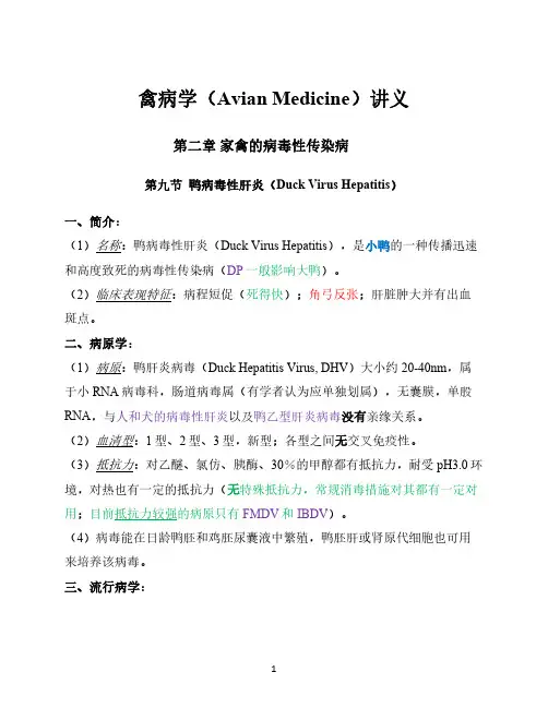 禽病学讲义-第二章-家禽的病毒性传染病(9-鸭病毒性肝炎)