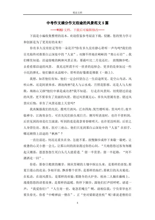 中考作文满分作文沿途的风景范文5篇