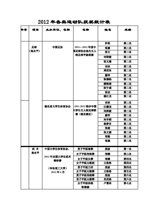 2012年各类运动队获奖统计表
