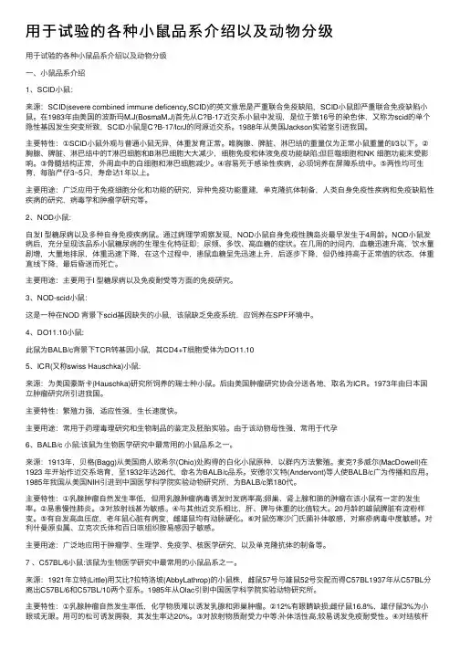 用于试验的各种小鼠品系介绍以及动物分级