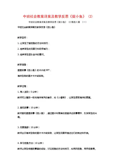 中班社会教案详案及教学反思《捉小鱼》 (2)5篇