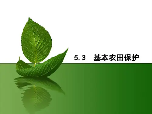土地利用管理：基本农田保护