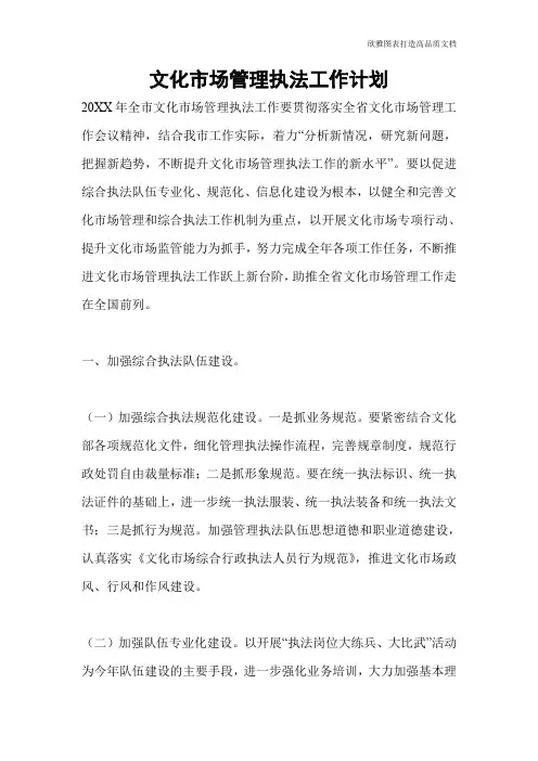 文化市场管理执法工作计划