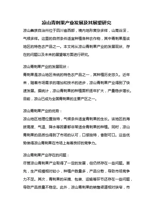 凉山青刺果产业发展及其展望研究