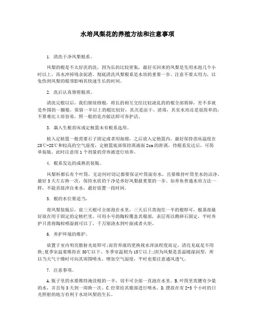 水培凤梨花的养殖方法和注意事项