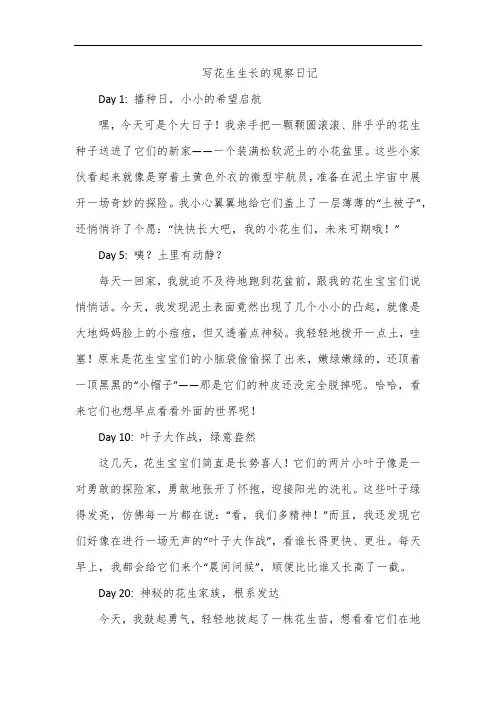 写花生生长的观察日记