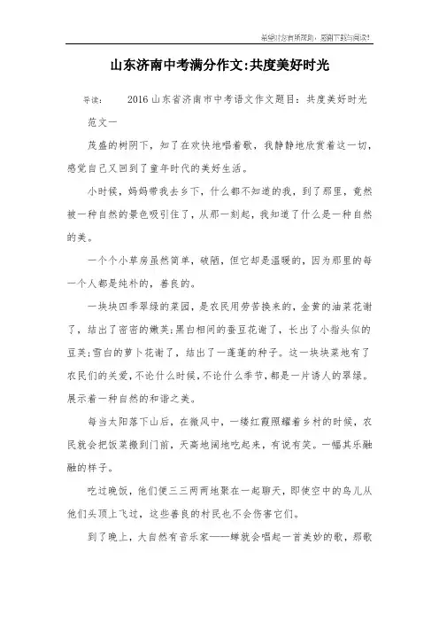 山东济南中考满分作文-共度美好时光