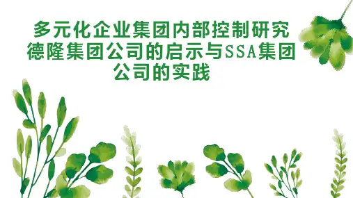 多元化企业集团内部控制研究德隆集团公司的启示与SSA集团公司的实践