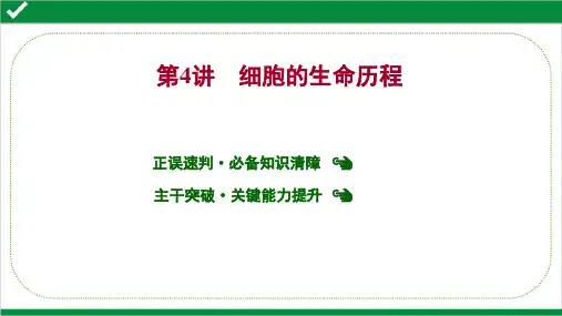 2022年高考生物二轮复习专题1  第4讲  细胞的生命历程