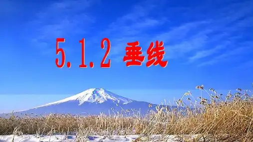 《垂线》课件完整版PPT初中数学1