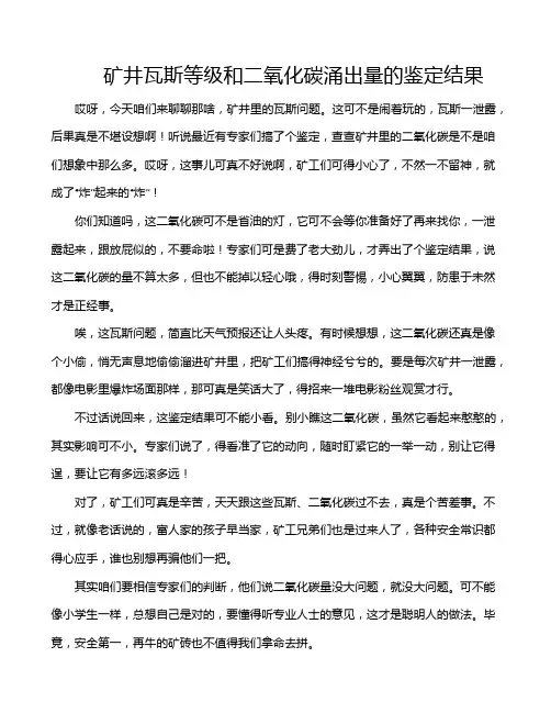 矿井瓦斯等级和二氧化碳涌出量的鉴定结果