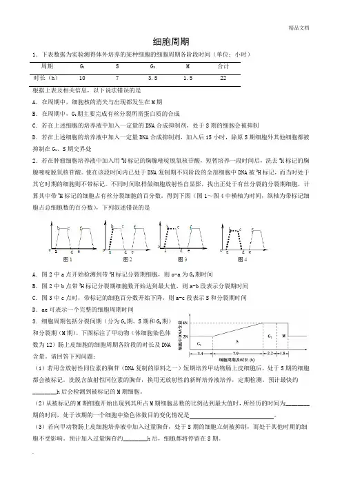 细胞周期