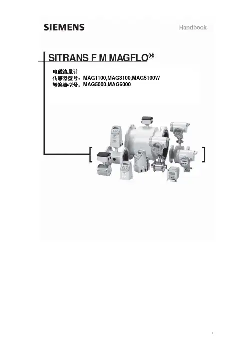 西门子(SIEMENS)妙声力系列电磁流量计变送器MAGFLO MAG5000 MAG6000中文使用手册
