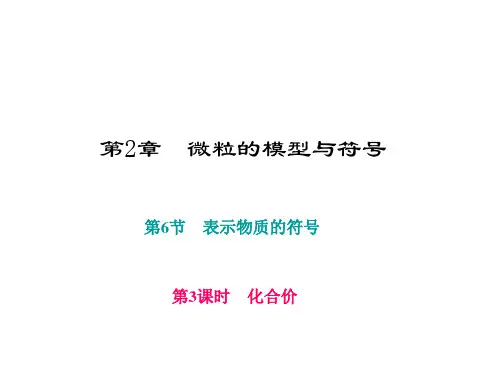 浙教版八年级科学下册课件 2.6.第3课时 化合价